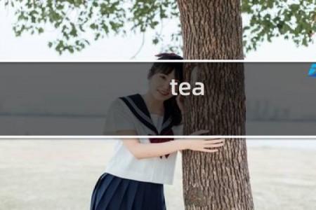tea gift茶